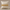 Baseline Stack — Gold